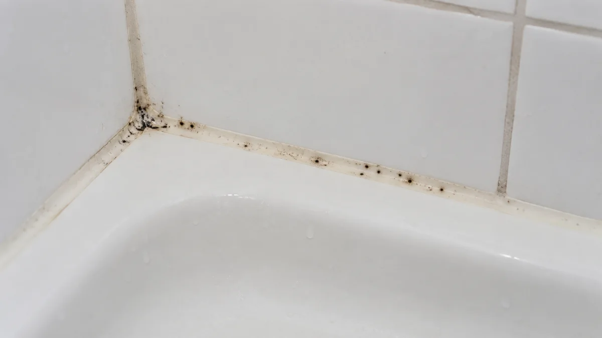 Close view of shower tile and a joint with localized dark discoloration